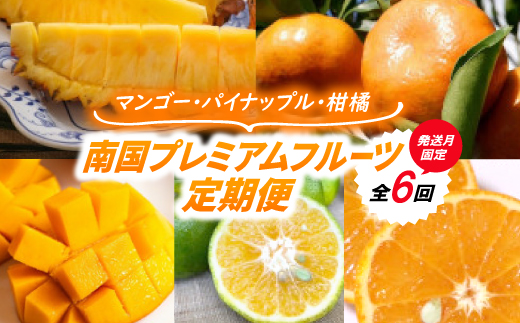 【発送月固定定期便】南国プレミアムフルーツ定期便(マンゴー&パイナップル2種&柑橘3種)全6回【配送不可地域：離島】【4081234】