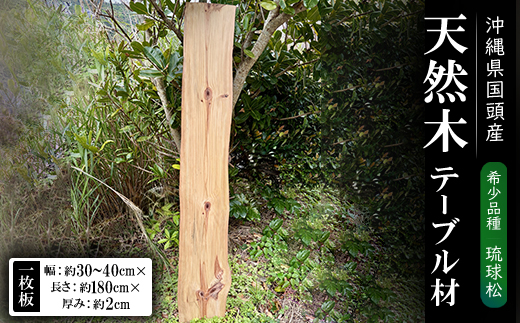 希少品種「琉球松」一枚板(幅約30〜40cm×長さ約180cm×厚み約2cm)天然木【1720676】