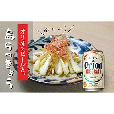 【ビール特産品セット】オリオン ザ・ドラフト&国頭村の島らっきょう【複数個口で配送】【配送不可地域：離島】【4014725】