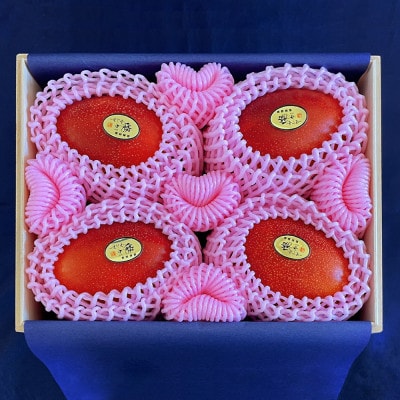 【2026年7月から順次発送・最高級ランク極】燦々マンゴー1.8kg(4玉)【配送不可地域：離島】【1622441】