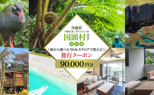 沖縄ツアー 沖縄本島最北やんばる国頭村 後から選べるWebカタログ旅行クーポン(90,000円分)【1684161】