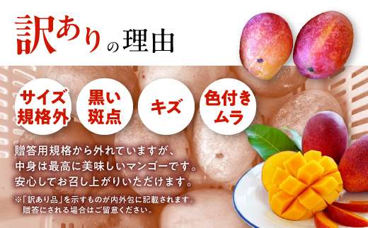 【2026年7月から順次発送・訳あり】燦々マンゴー2.4kg(4〜6玉)【配送不可地域：離島】【1619692】