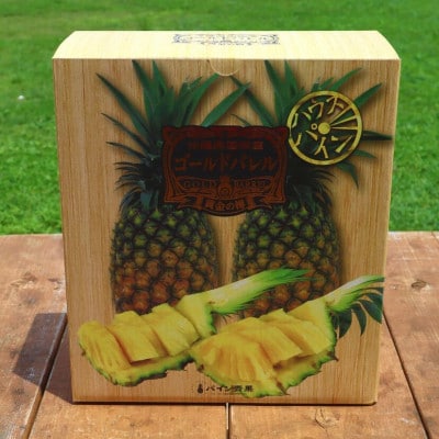 【2026年5月から順次発送・ハウス栽培】パイナップルの王様 ゴールドバレル2玉【配送不可地域：離島】【1608233】