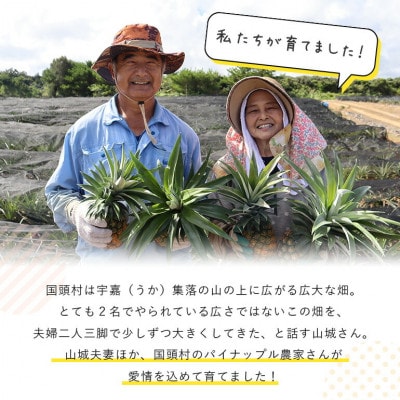 ã2026幎7æããé æ¬¡çºéããã€ãããã«ã®çé Nãã€ã³4çãé
éäžå¯å°åïŒé¢å³¶ãã1584608ã