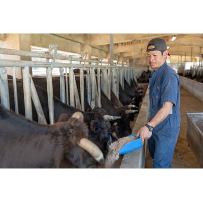 やんばるの自然が育んだ「黒毛和牛 経産牛」切り落とし 500g×1パック【配送不可地域：離島】【1716770】