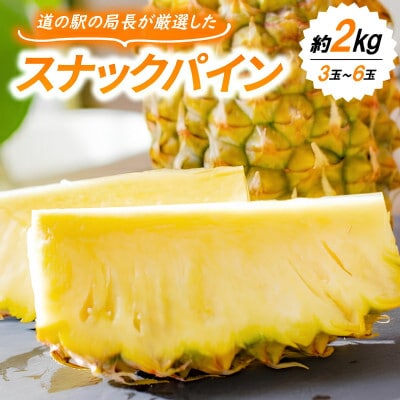 ãçºéæåºå®å®æäŸ¿ãåœé ç£ãã€ãããã«3çš®ã»ãã(ãŽãŒã«ããã¬ã«ã»ã¹ããã¯ãã€ã³ã»Nãã€ã³)å
š3åãé
éäžå¯å°åïŒé¢å³¶ãã4078649ã