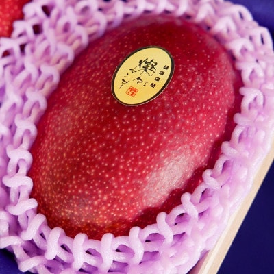 【2026年7月から順次発送・最高級ランク極】燦々マンゴー900g(2玉)【配送不可地域：離島】【1622439】