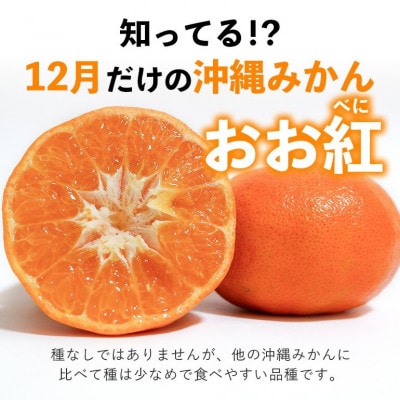 【2026年12月頃から順次発送】国頭村産の島みかん おお紅 3kg やんばる育ちの希少柑橘【1618480】