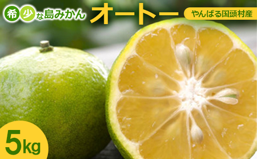 【2026年10月頃から順次発送】やんばる国頭村産 希少な島みかん「オートー」5kg【1662092】