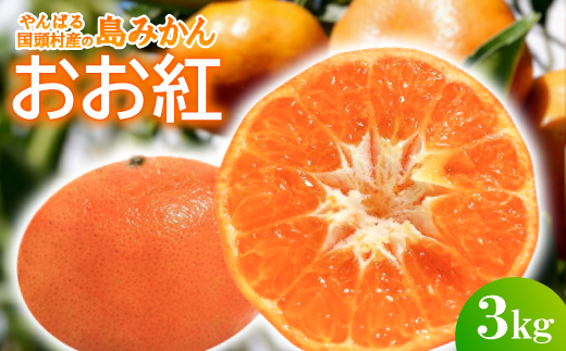 【2026年12月頃から順次発送】国頭村産の島みかん おお紅 3kg やんばる育ちの希少柑橘【1618480】