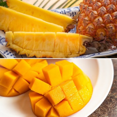 【発送月固定定期便】南国フルーツセット(パッションフルーツ&マンゴー&パイン&ドラゴンルーツ)全4回【配送不可地域：離島】【4081241】