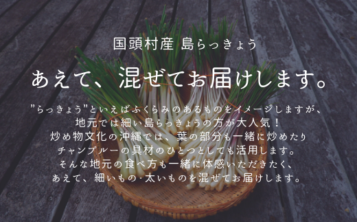 沖縄おつまみの定番！国頭村の島らっきょう（１kg）	