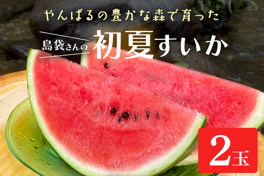 【2025年発送 先行予約】島袋さんの初夏スイカ《5～7Kg×2玉》	