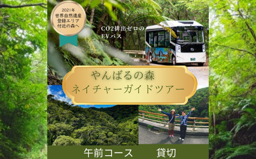 【1ヶ月前予約必須】やんばるの森ネイチャーガイドEVバスツアー 午前コース 貸切(最大16名乗車可能【1606966】