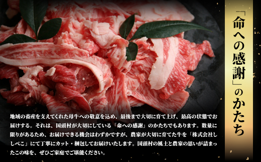 やんばるの自然が育んだ「黒毛和牛 経産牛」切り落とし 合計1kg(500g×2パック)【配送不可地域：離島】【1716771】