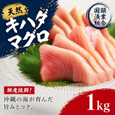 【国頭漁業協同組合直送】天然キハダマグロ 1kg【配送不可地域：離島】【1579281】