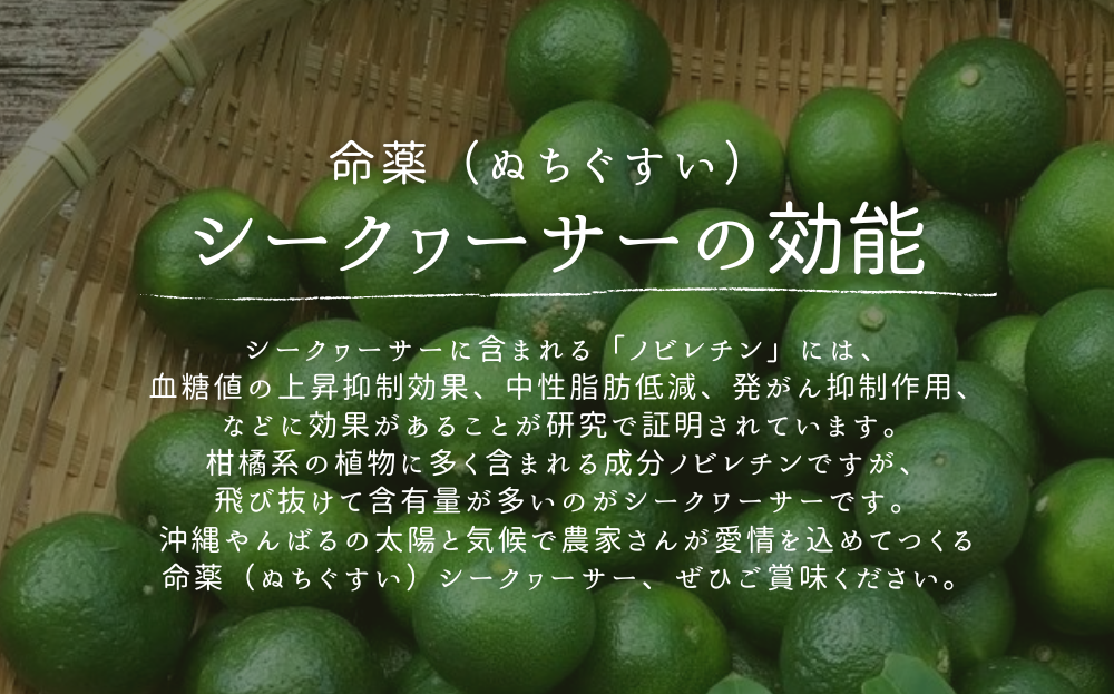 【2025年9月発送】ゆいゆい国頭厳選！青切りシークヮーサー１０㎏