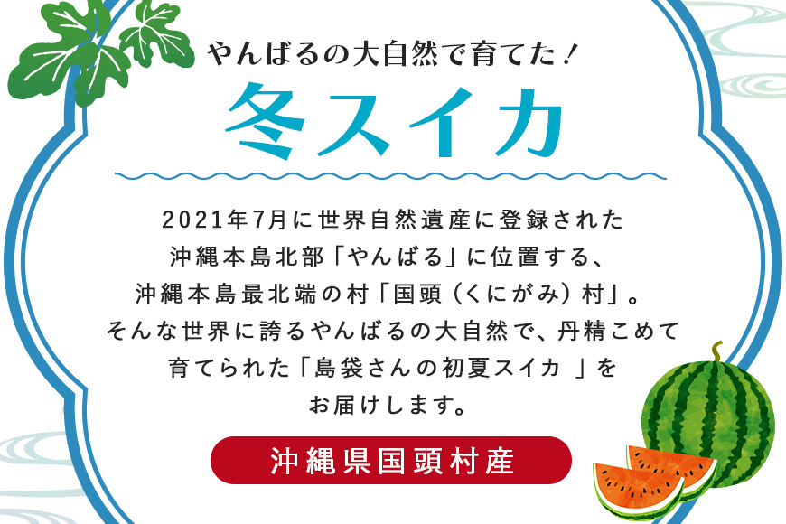 【2025年発送 先行予約】島袋さんの冬スイカ《4～5Kg×１玉》	