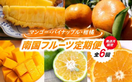 【発送月固定定期便】南国フルーツ定期便(マンゴー&パイナップル2種&柑橘3種)全6回【配送不可地域：離島】【4081231】