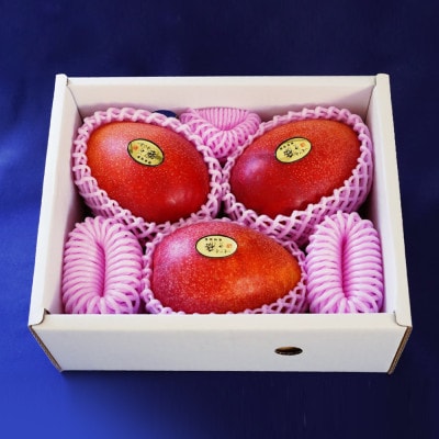 【2026年7月から順次発送・優品】燦々マンゴー1.5kg(3〜6玉)【配送不可地域：離島】【1619778】