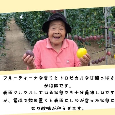 【2026年5月から順次発送】国頭村産パッションフルーツ1kg(10〜12玉)【1616926】