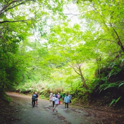 ãäžã¶æåäºçŽå¿
é ãããã°ãã®æ£®ãã€ãã£ãŒã¬ã€ãEVãã¹ãã¢ãŒ å¹³æ¥ååã³ãŒã¹(ãã¢1çµ2åæ§å)ã1606954ã