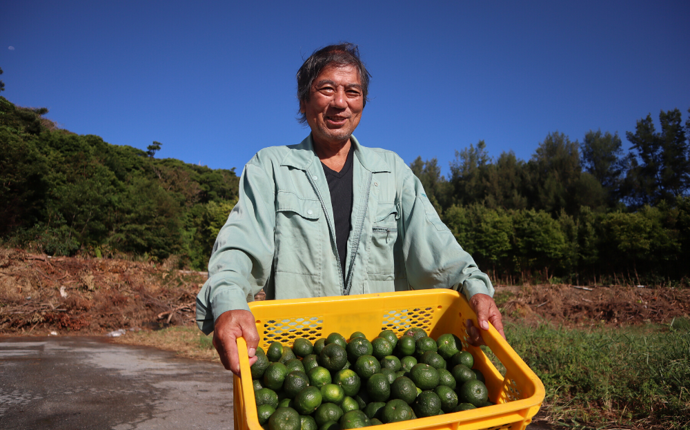 【先行予約/10月発送】国頭村産 島みかん「カーブチー」５kg	