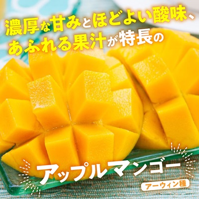 【2026年7月から順次発送・訳あり】燦々マンゴー1.5kg(3〜6玉)【配送不可地域：離島】【1619685】