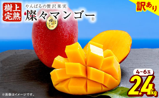 【2026年7月から順次発送・訳あり】燦々マンゴー2.4kg(4〜6玉)【配送不可地域：離島】【1619692】