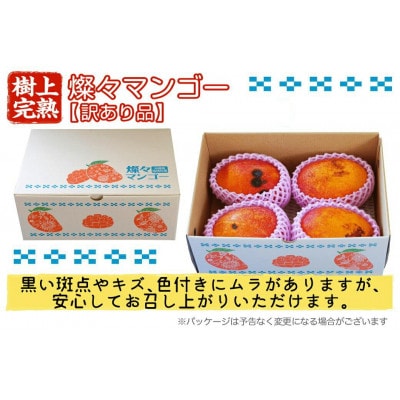 【2026年7月から順次発送・訳あり】燦々マンゴー2.4kg(4〜6玉)【配送不可地域：離島】【1619692】