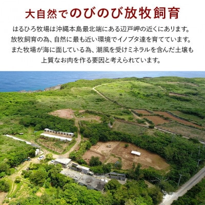 国頭イノブタ 肩ロース(スライス) 500g【配送不可地域：離島】【1580270】