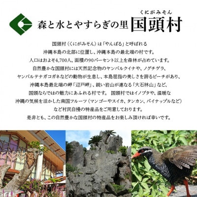 美ら島あぐー ロース250g バラ250g すき焼きセット計500g【配送不可地域：離島】【1620062】