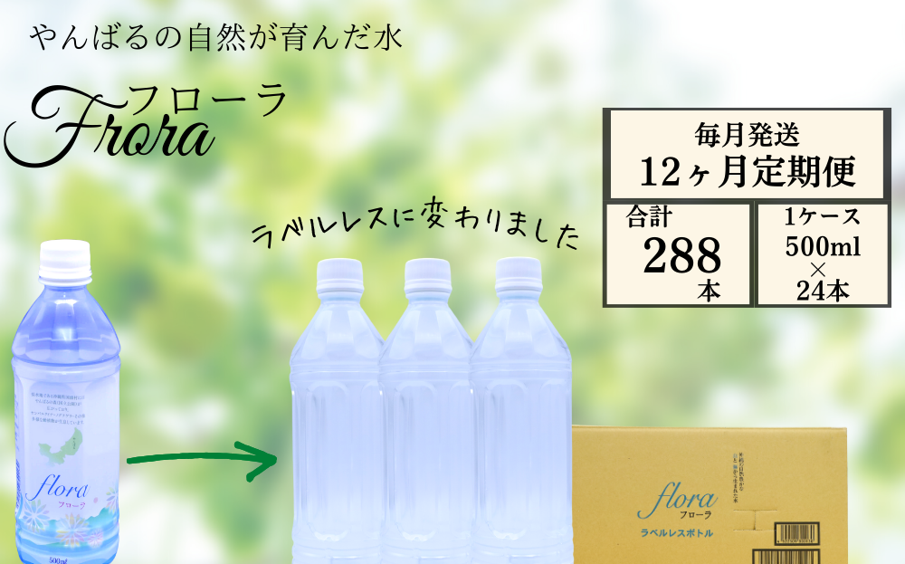 【12ヶ月定期便】やんばるの水 Flora【フローラ】500ml 24本　【ラベルレス/軟水】		