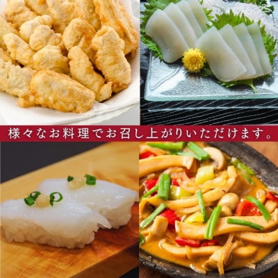 ソデイカ(セーイカ) 1kg(2〜3柵)【配送不可地域：離島】【1591583】