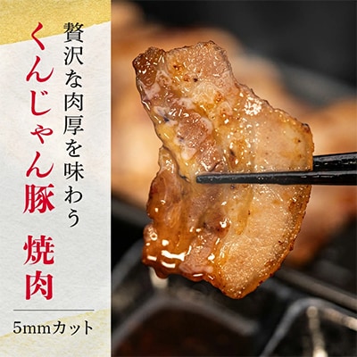 【ビール特産品セット】オリオン ザ・ドラフト&くんじゃん豚の焼肉【複数個口で配送】【配送不可地域：離島】【4014723】