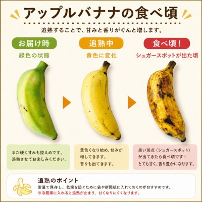 【栽培期間中農薬不使用】やんばるバナナ1.5kg(7〜20本)【1579241】