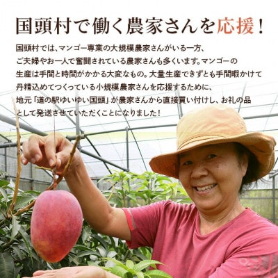 【2026年6月から順次発送】優品アーウィンマンゴー5kg(8〜12玉)【配送不可地域：離島】【1584603】