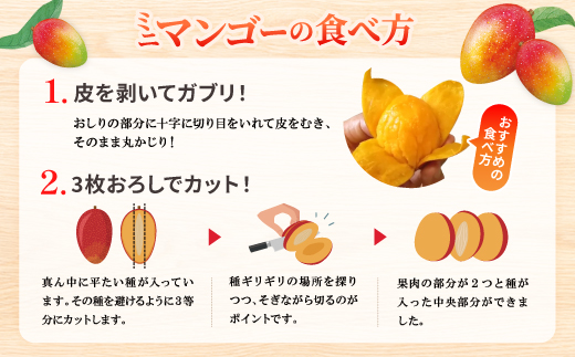 【2026年6月から順次発送】数量限定の訳ありミニマンゴー1kg【配送不可地域：離島】【1634008】