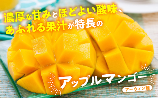 【2026年7月から順次発送・訳あり】燦々マンゴー2.4kg(4〜6玉)【配送不可地域：離島】【1619692】