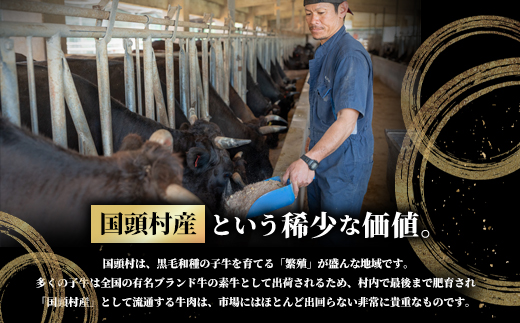 やんばるの自然が育んだ「黒毛和牛 経産牛」切り落とし 500g×1パック【配送不可地域：離島】【1716770】
