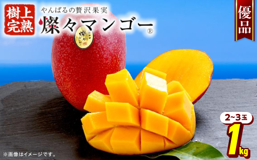 【2026年7月から順次発送・優品】燦々マンゴー1.0kg(2〜3玉)【配送不可地域：離島】【1619776】