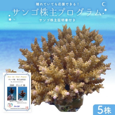 成長記録が贈られる!国頭村の「サンゴ株主」プログラム5株【1581395】