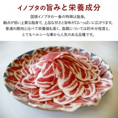 国頭イノブタ 肩ロース(スライス) 500g【配送不可地域：離島】【1580270】