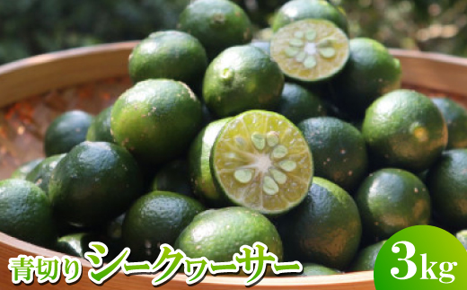 【2026年9月頃から順次発送】道の駅 ゆいゆい国頭が厳選した青切りシークヮーサー3kg【1577572】