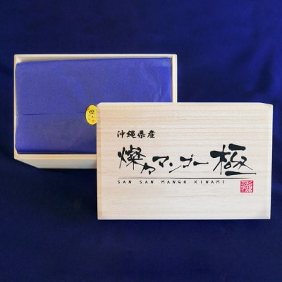 【2026年7月から順次発送・最高級ランク極】燦々マンゴー900g(2玉)【配送不可地域：離島】【1622439】