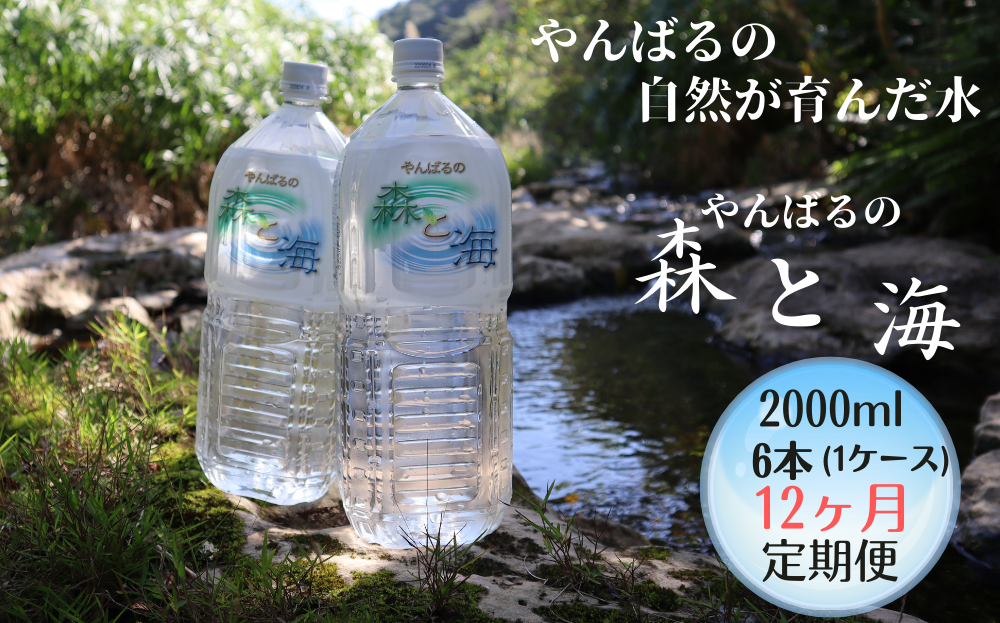 【12ヶ月定期便】やんばるの水 「 森と海」　2000ml  ６ 本