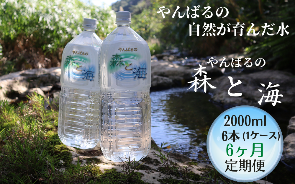 【6ヶ月定期便】やんばるの水 「 森と海」　2000ml ６ 本