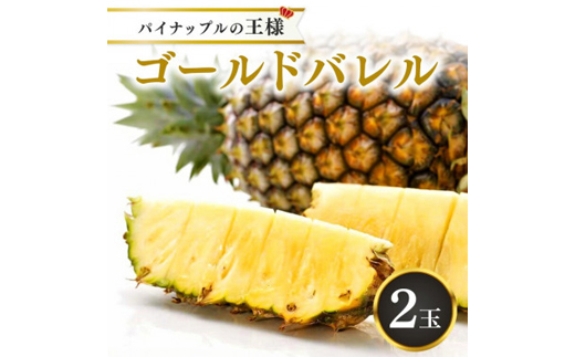 【2026年5月から順次発送・ハウス栽培】パイナップルの王様 ゴールドバレル2玉【配送不可地域：離島】【1608233】