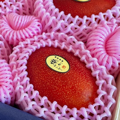 【2026年7月から順次発送・最高級ランク極】燦々マンゴー1.8kg(4玉)【配送不可地域：離島】【1622441】