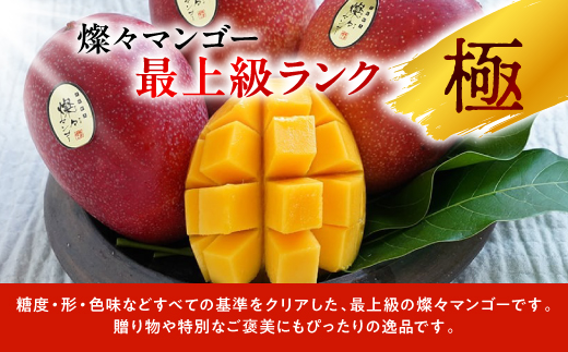 【2026年7月から順次発送・最高級ランク極】燦々マンゴー1.8kg(4玉)【配送不可地域：離島】【1622441】